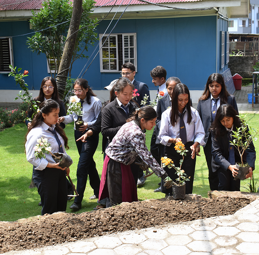 Featured News of Academia International College